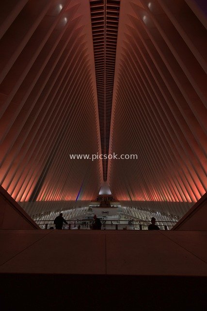 Indoor Architectural Landscape of the Oculus Transportation Hub at New York World Trade Center
