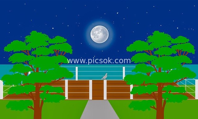 月夜码头公园夜景 树木小径鸽子星空