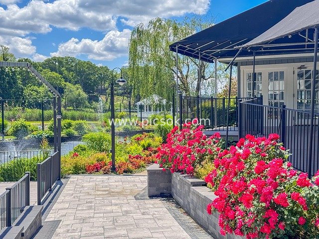 纽约长岛天鹅俱乐部花园池塘景观