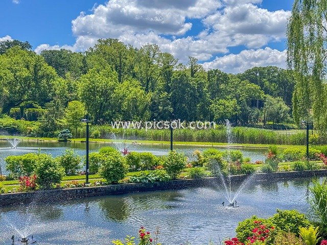 纽约长岛天鹅俱乐部花园池塘花卉景观