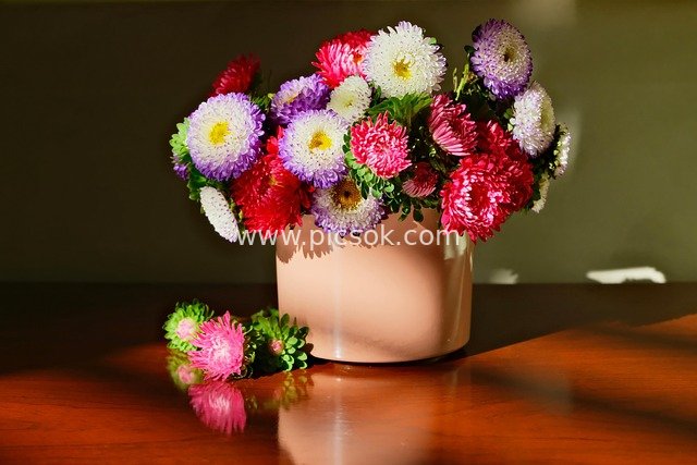 Colorful China Aster Bouquet with Pink Pot for Desktop Decoration