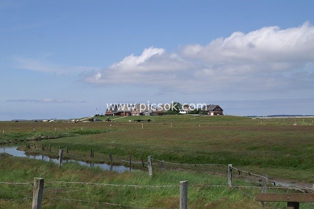Rural Pastoral Landscape of North Frisia's North Sea Coast