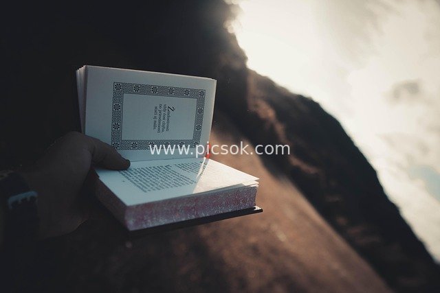 手捧哲学书籍户外阅读 智慧思考光影氛围图