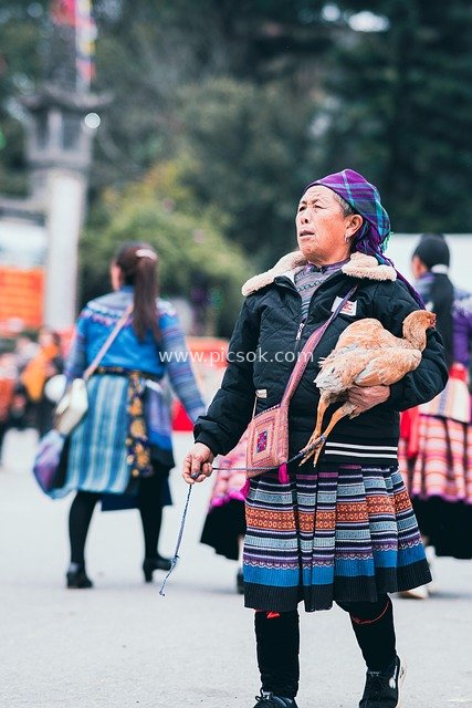 传统服饰老妇人抱鸡逛集市生活场景