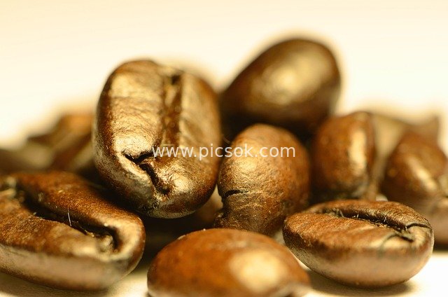 深烘咖啡豆特写 咖啡原料细节摄影素材