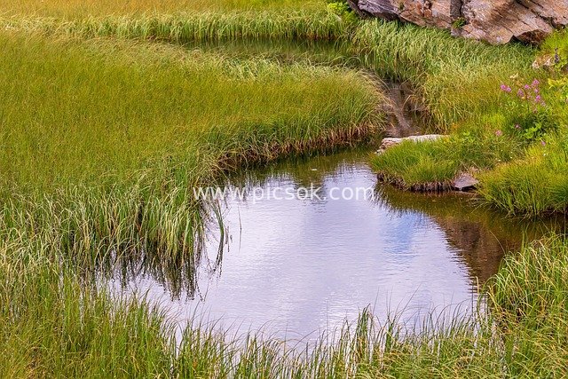 mountain lake, reed, grass, water, landscape, clean, rock, pond, river course, nature
