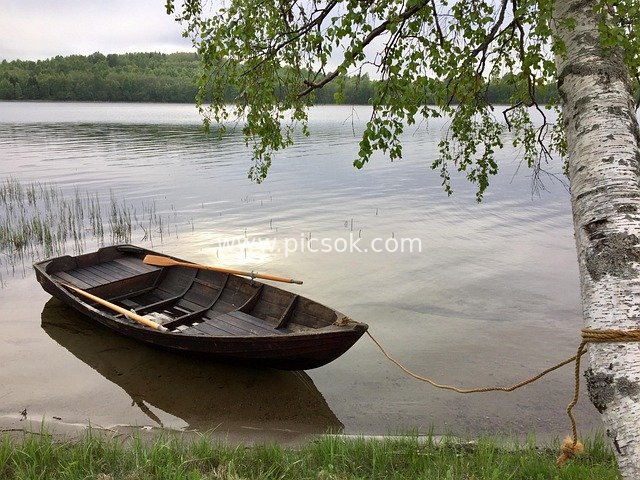 Serene Summer Lakeside Scenery: Wooden Boat Tied to Birch Tree