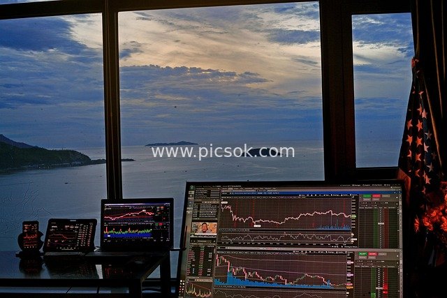 Stock and Cryptocurrency Trading Scene in a Seaview Office