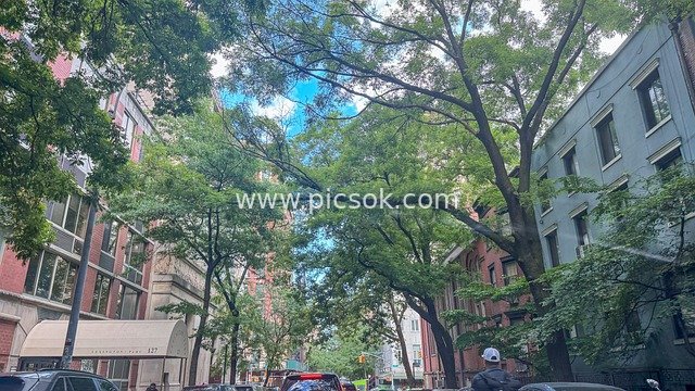 纽约曼哈顿都市街道建筑风景摄影