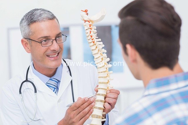 Doctor Explaining Spine Model to Patient in Spinal Health Consultation Scene