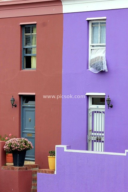 Real Shots of Colorful South African Townhouses with Door, Window and Flower Decorations