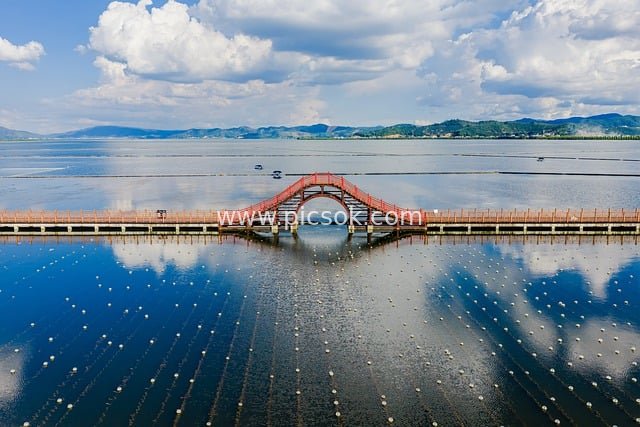 航拍湖泊红色拱桥 夏日湿地自然风景图