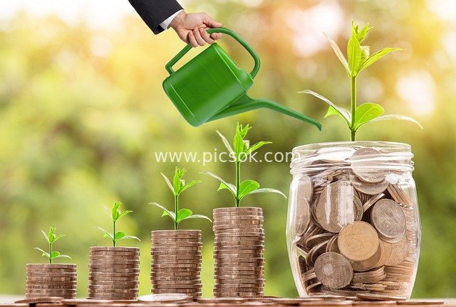 Watering Coin Savings: Wealth Sprouts and Grows