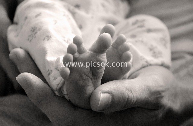 Father’s Hand Cradling Baby’s Tiny Feet: A Heartwarming Parent-Child Protection Moment