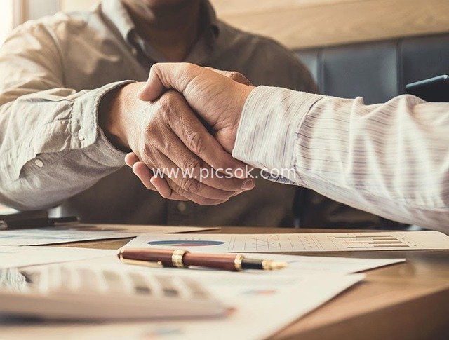 Business Cooperation Handshake: Workplace Scene of a Completed Business Deal