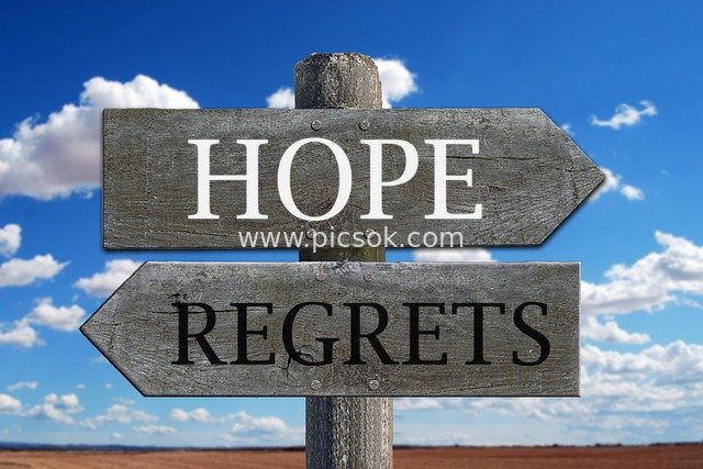Hope vs Regret: A Wooden Road Sign for Life's Choices
