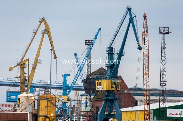 Port Multi-Color Crane Cluster: Industrial Logistics Engineering Scene