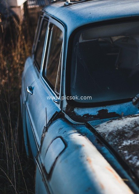 Abandoned Blue Old Ford: An Old Car Amid Outdoor Weeds