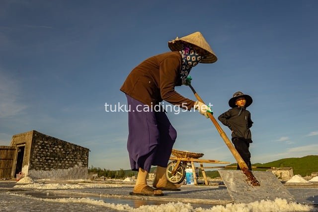 Vietnamese Salt Fields at Dawn: Women's Traditional Working Scene