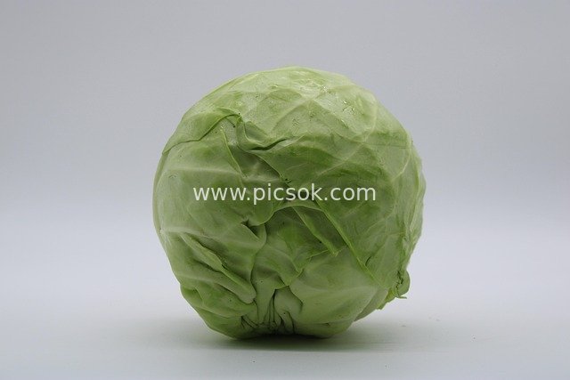 Fresh Green Cabbage Close-Up Photo of Healthy Vegetable Ingredient
