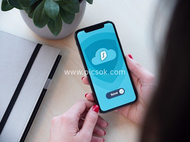 Display of a Mobile Data Security Protection App Interface for Remote Work