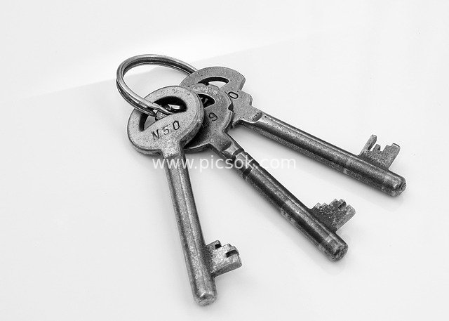 Vintage Metal Keychain: High-Definition Material of Safety-Protective Old Keys