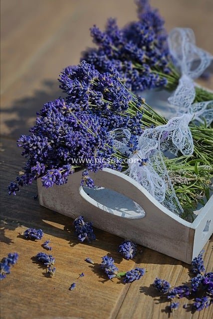 薰衣草干花束 蕾丝装饰木质托盘 乡村自然风