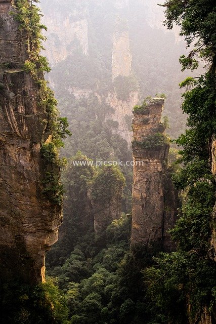 Amazing Peak Forest Scenery of Zhangjiajie Wulingyuan - Breathtaking Natural Landscape