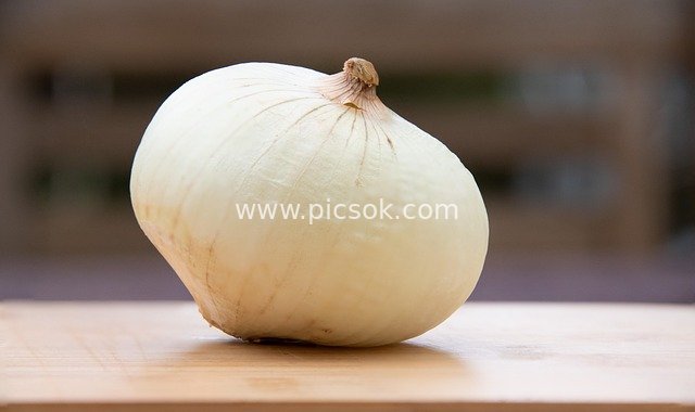 新鲜白洋葱特写 厨房健康烹饪食材