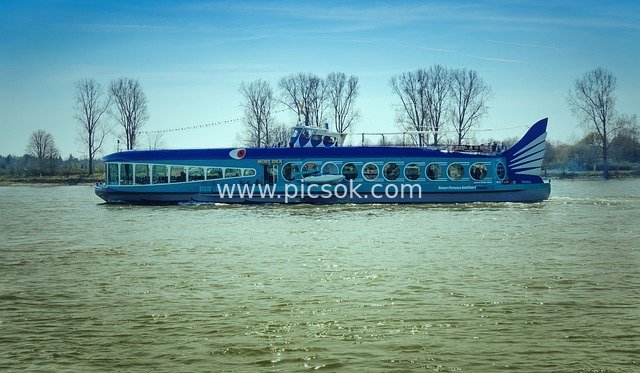 Blue Whale-Shaped Sightseeing Cruise on the Rhine River