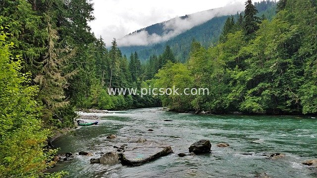 Sauk River, Washington State: Outdoor Natural Beauty of Forests and Mountains