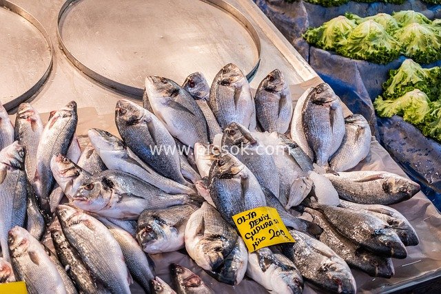 Fresh Seafood Stall at Fish Market - Selling Fresh Sea Bass and Sea Bream