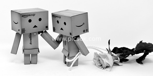Danbo Cardboard Box Figures Apologizing with Roses - Cute Black-and-White Romantic Scene