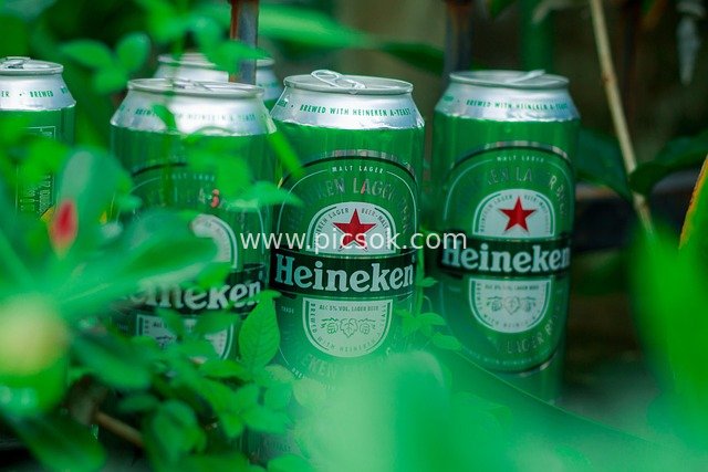 Heineken Canned Beer: Cool Summer Green Outdoor Scene