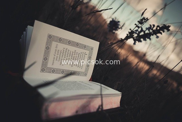 草地旁翻开的哲学书籍 阅读思考智慧场景