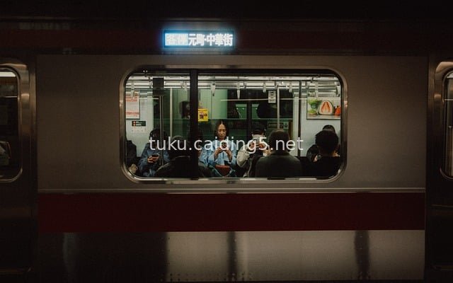 Night View of Tokyo Subway Carriage: Urban Commute & Travel Scene