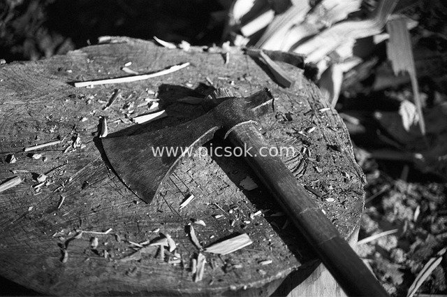 Close-Up of Black & White Axe Tool | Chopping Wood on Stump Scene Material