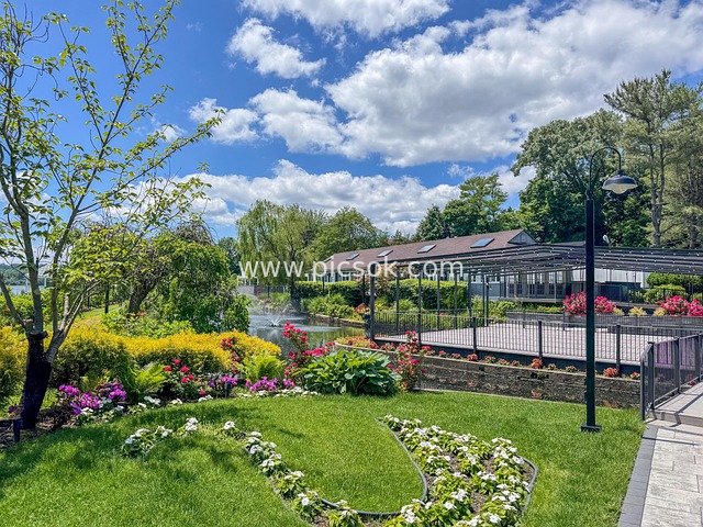 纽约长岛天鹅俱乐部花园池塘蓝天美景