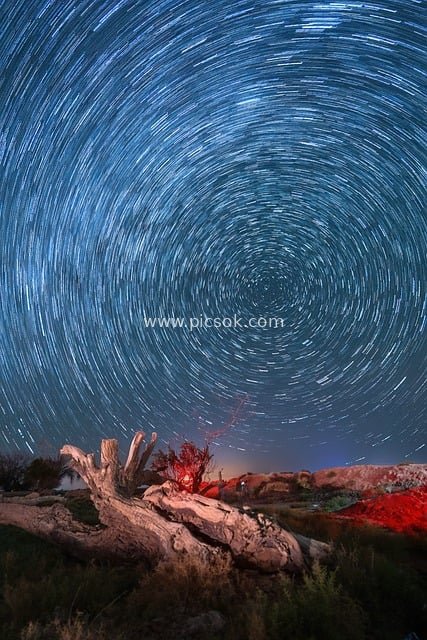 荒漠星轨夜景 枯木下的梦幻星空摄影素材