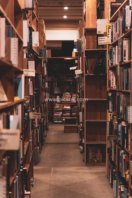 Quiet Bookstore & Library: Literary Reading Moments Among Bookshelves