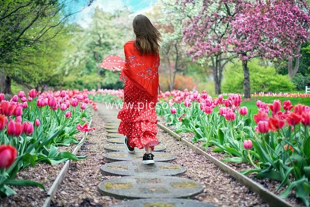 Girl in Red Strolling Through Tulip Path in Dreamy Spring Garden