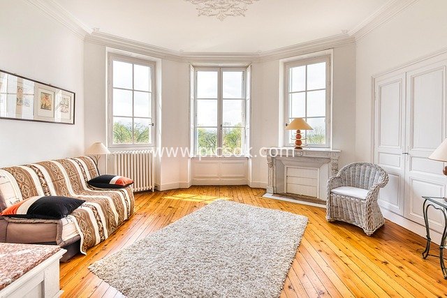 French Retro Living Room: Cozy Interior Design with Wooden Floors