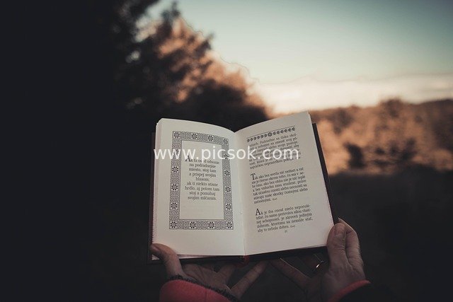 户外手持哲学书籍阅读 追寻智慧与沉思瞬间