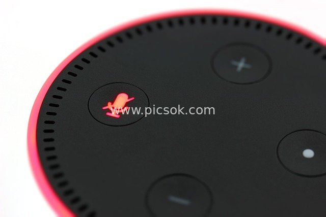 Close-Up of Microphone Mute Feature on Amazon Echo Dot Smart Speaker