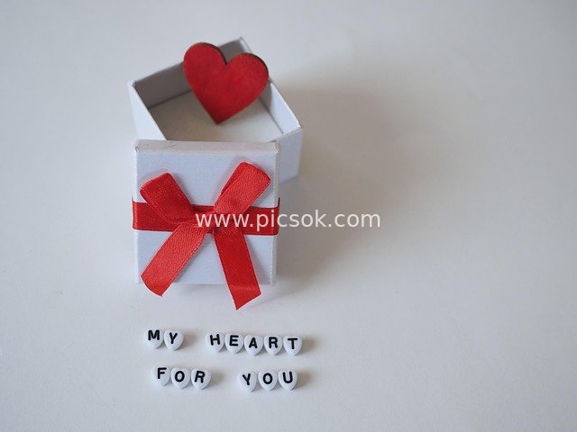 Romantic Valentine's Day Gift: My Heart for You Heart-Shaped Gift Box