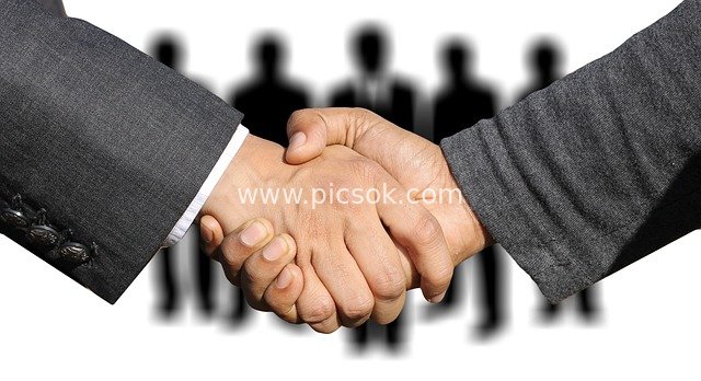 Business Professionals Shaking Hands: Workplace Agreement Negotiation Scene