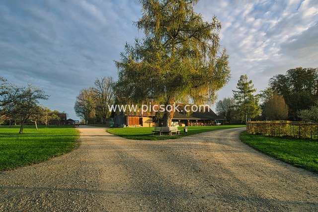 乡村岔路农场庭院自然田园风光图