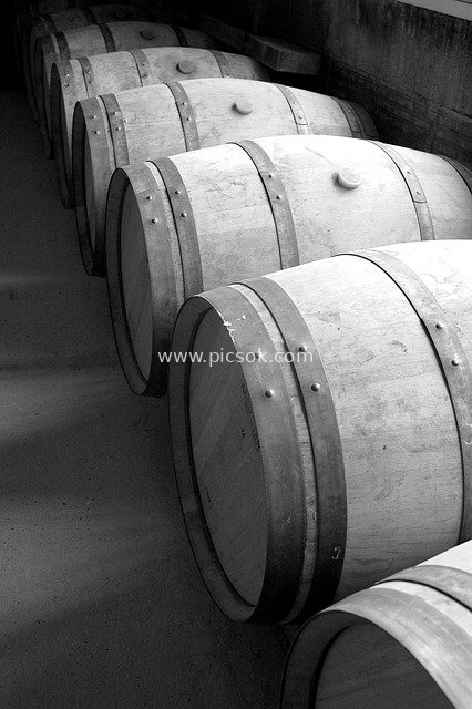 Black-and-White Scene of Wine Aging in Oak Barrels at Bordeaux Winery Cellar