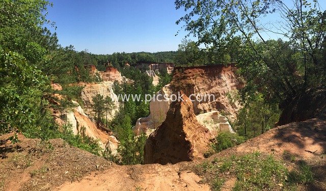 Sunny Outdoor Hiking Beauty of Providence Canyon, Georgia