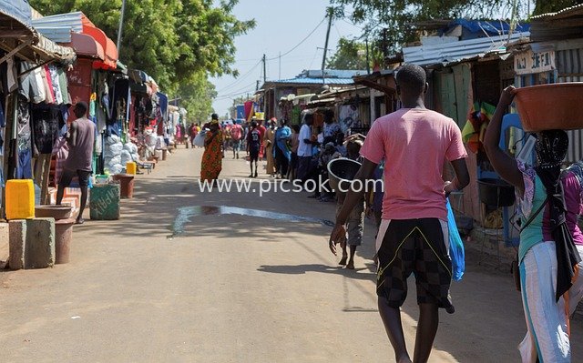 Senegal Street Market: African Trade and Shopping Scene